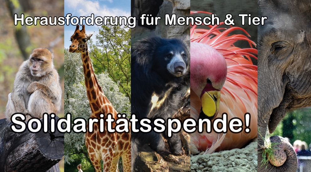 Spenden für Tierpark Berlin und Zoo Berlin - Helfen - Freunde Hauptstadtzoos