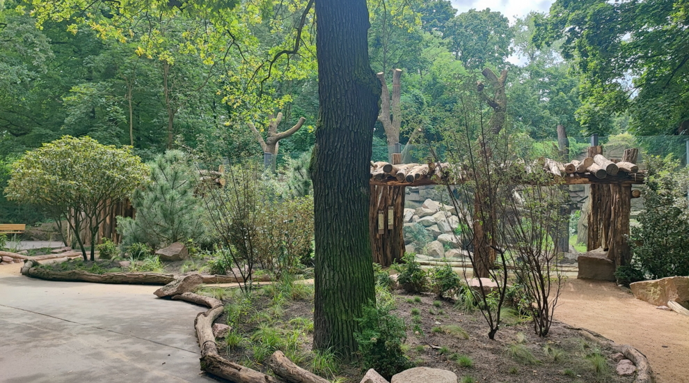 alt-"Bärenschlucht - Brillenbär - Waldhunde - Aktuelles Tierpark Berlin und Zoo Berlin - Freunde Hauptstadtzoos - Förderverein"
