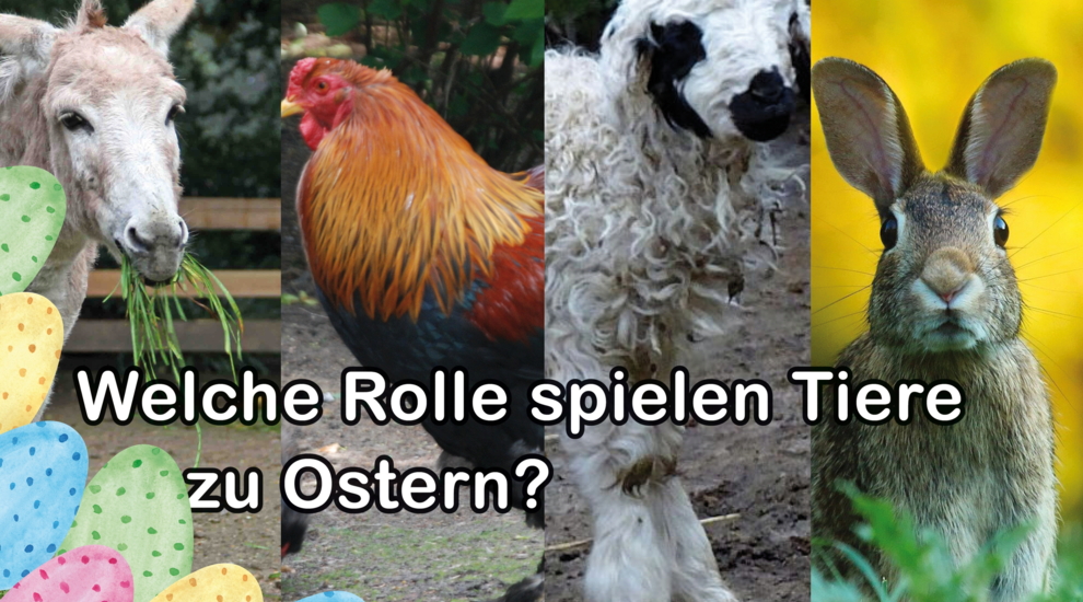 Ostern - Tiere - Aktuelles - Tierpark Berlin und Zoo Berlin - Freunde Hauptstadtzoos