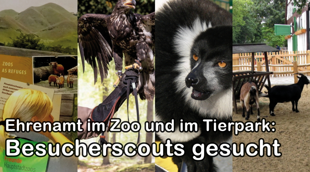Ehrenamt - Freiwillige Arbeit - Besucherscouts - Tierpark Berlin - Zoo Berlin - Aktuelles