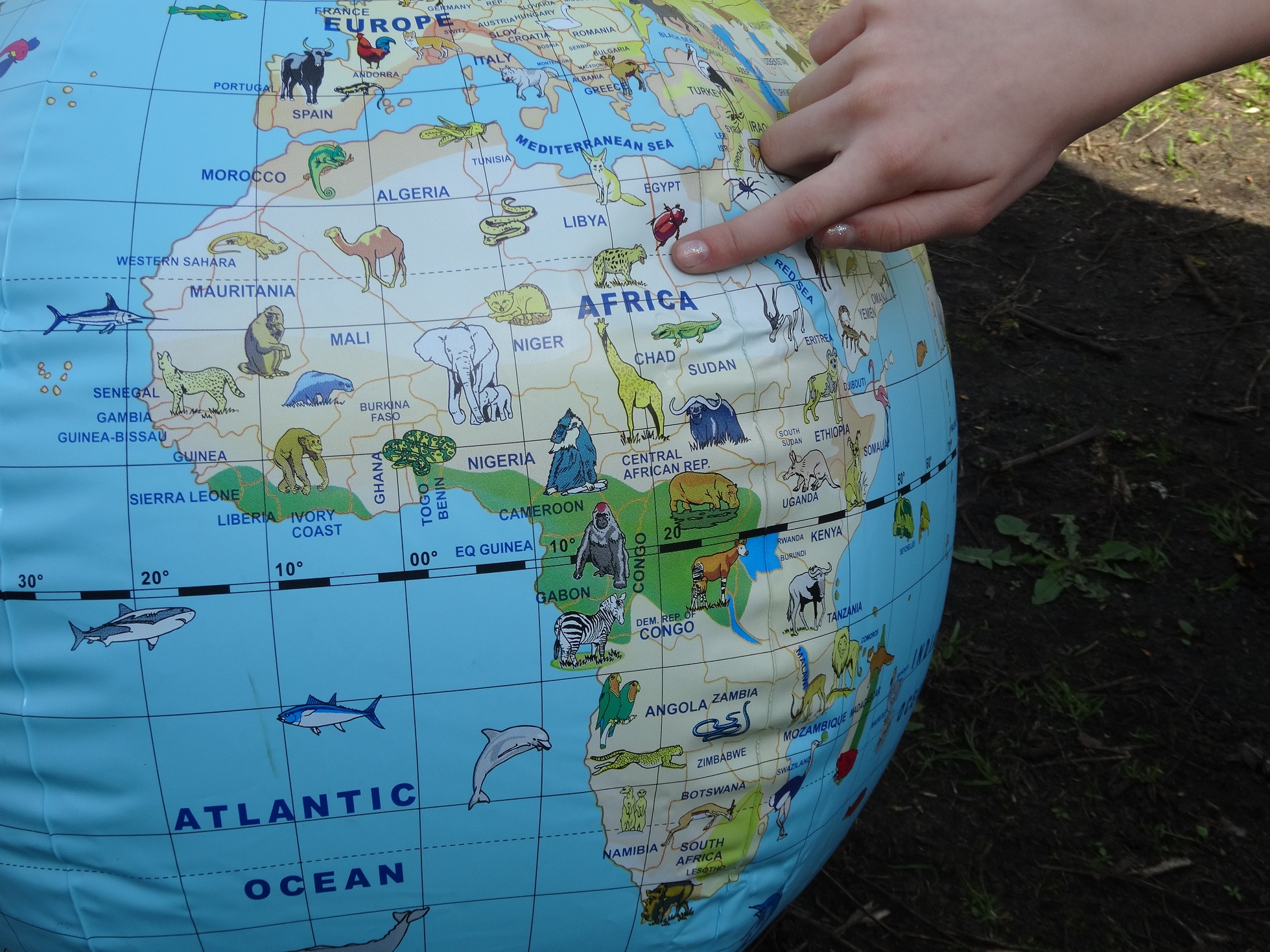 Schüler-Akademie - Freizeit Schüler Berlin - Tierwissen Schüler - Tierpark Berlin - Zoo Berlin