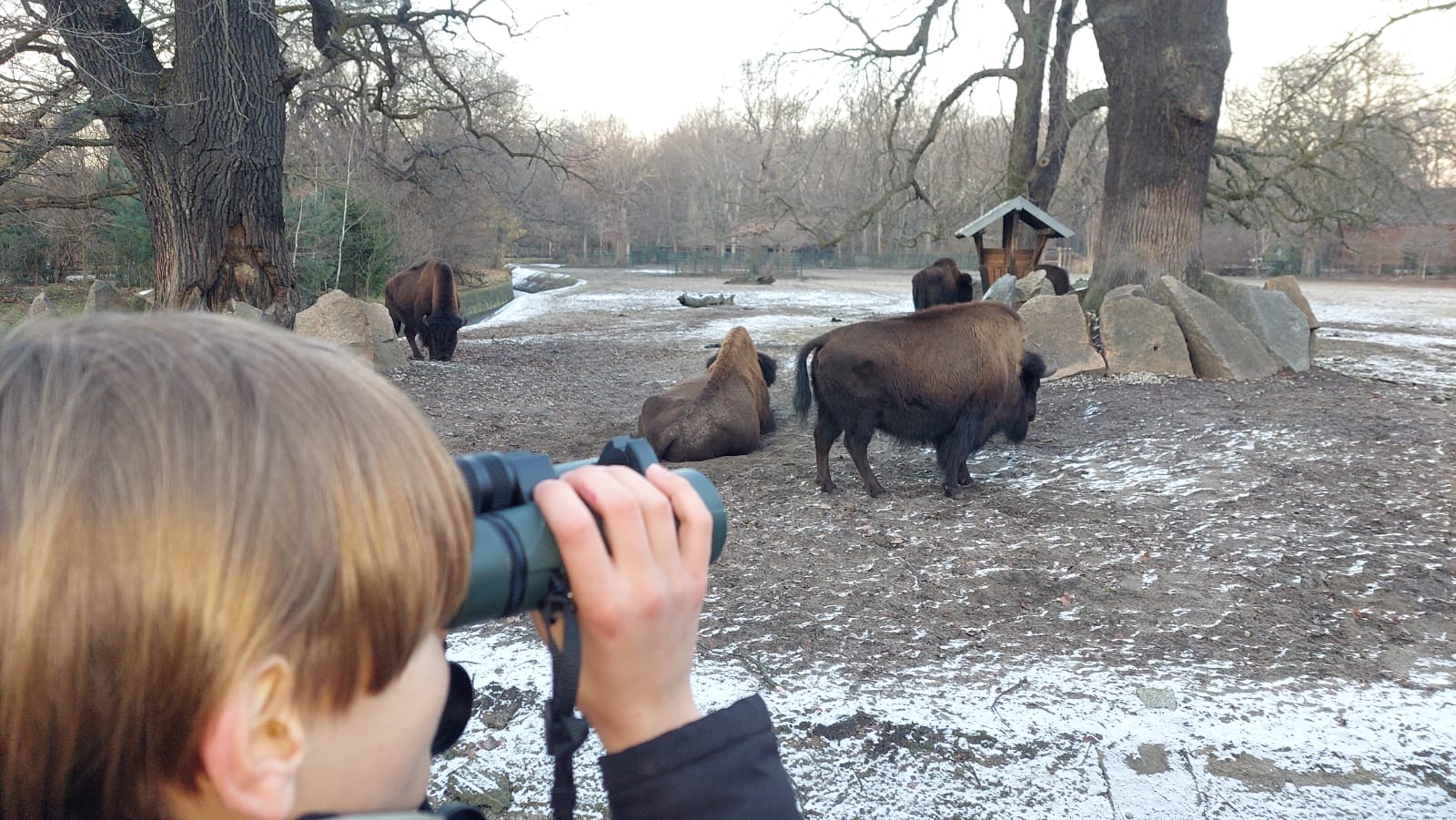 Ferngläser - Bresser - Unterstützung - Freunde Hauptstadtzoos - Tierpark Berlin - Zoo Berlin - Aktuelles - Förderverein - Ehrenamtssiegel