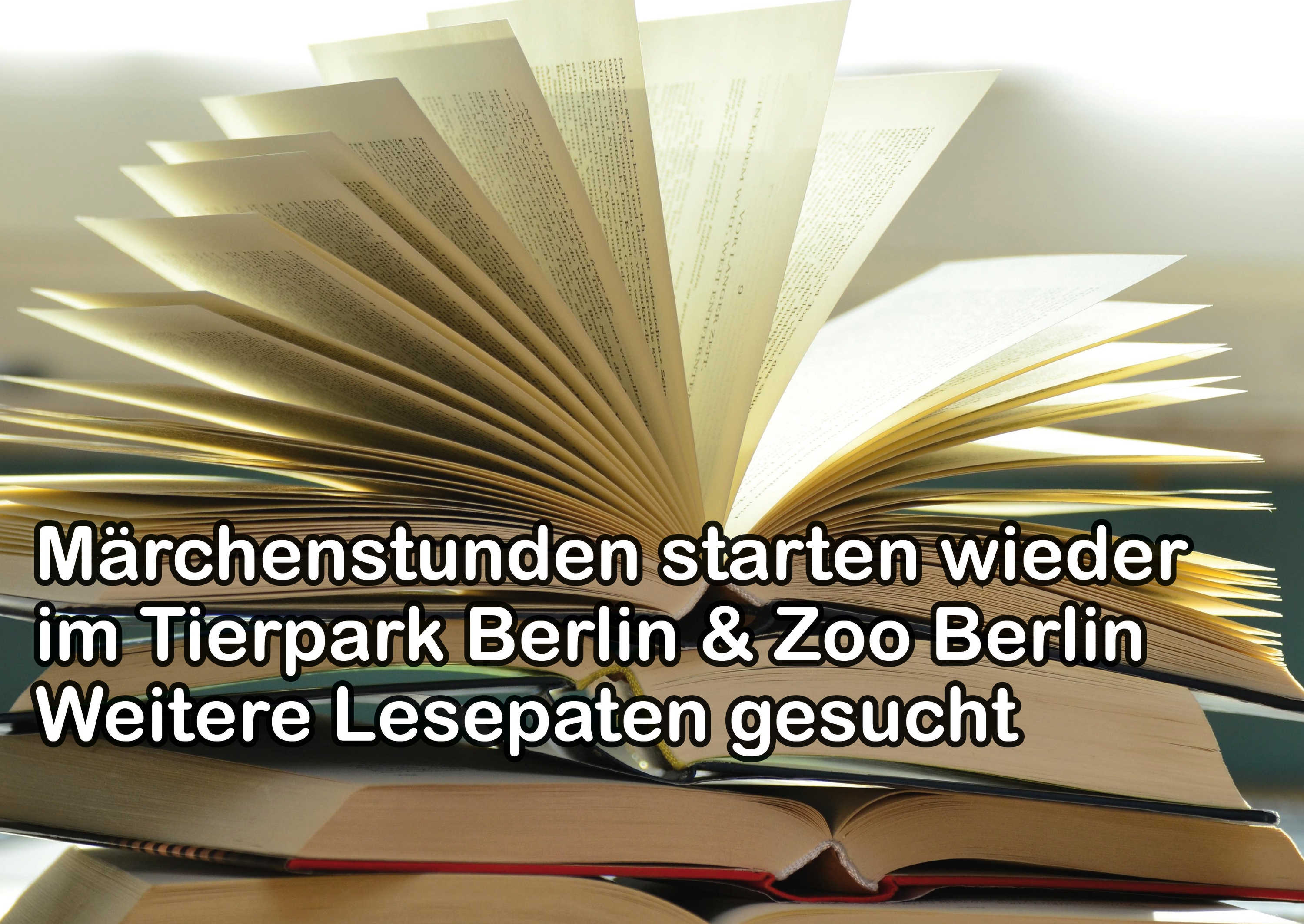 Lesepaten - Märchenstunden - Tierpark Berlin - Zoo Berlin - Ehrenamt - Freunde Hauptstadtzoos - Förderverein