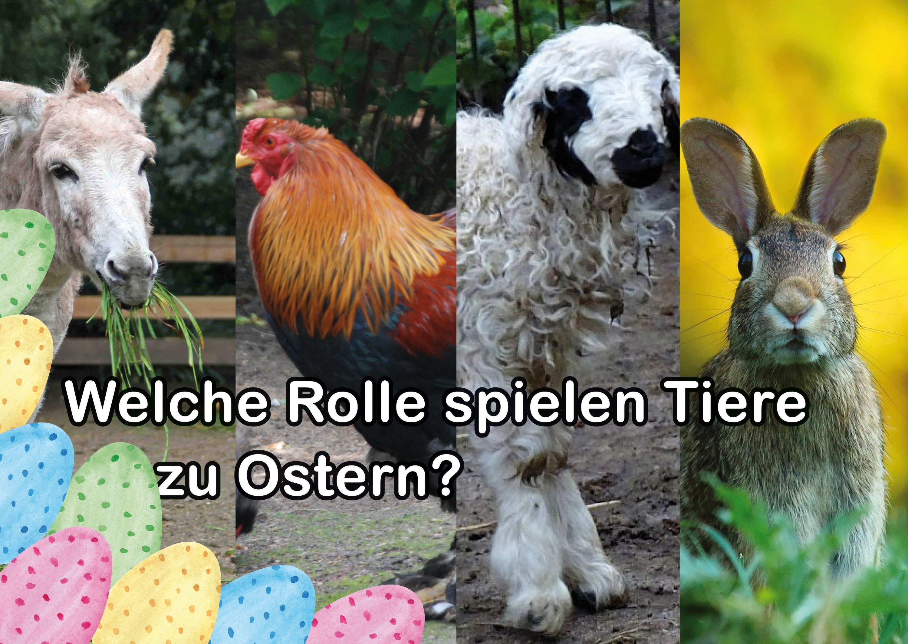 Ostern Tiere - Aktuelles - Tierpark Berlin und Zoo Berlin - Freunde Hauptstadtzoos