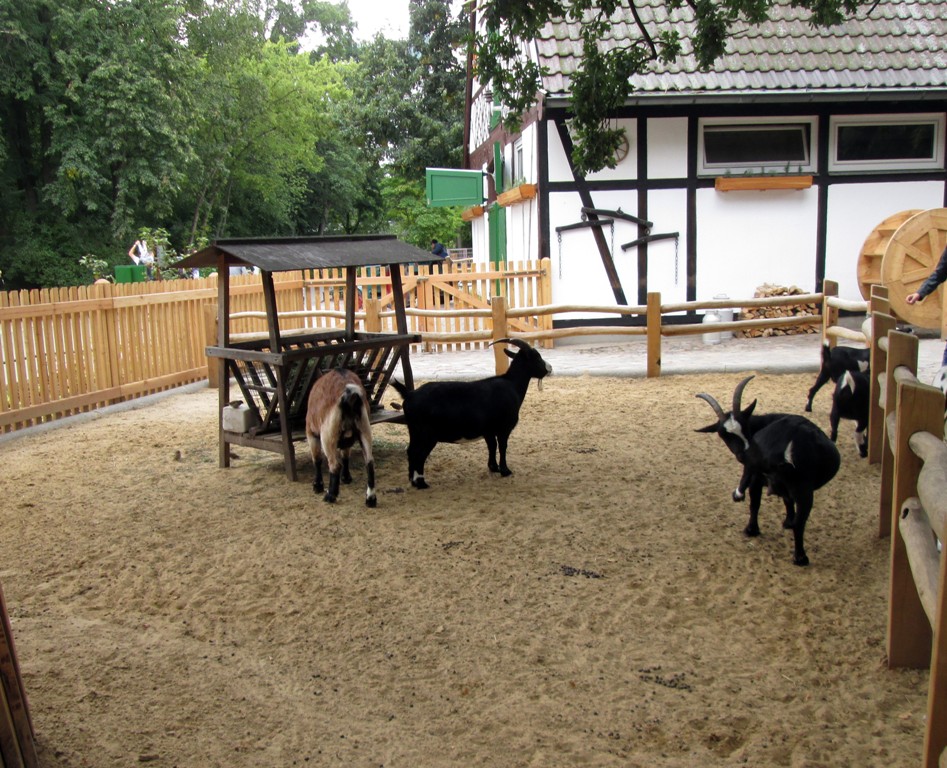 Ehrenamt - Freiwillige Arbeit - Besucherscouts - Tierpark Berlin - Zoo Berlin - Aktuelles
