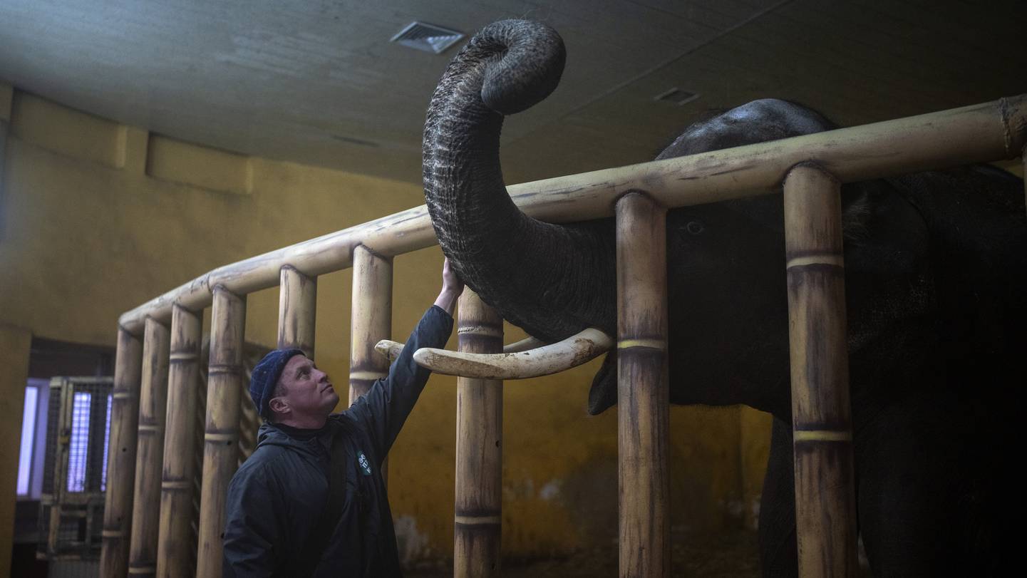 Ukraine - Krieg - Zoos - Solidarität - Helfen - Spenden - Freunde Hauptstadtzoos